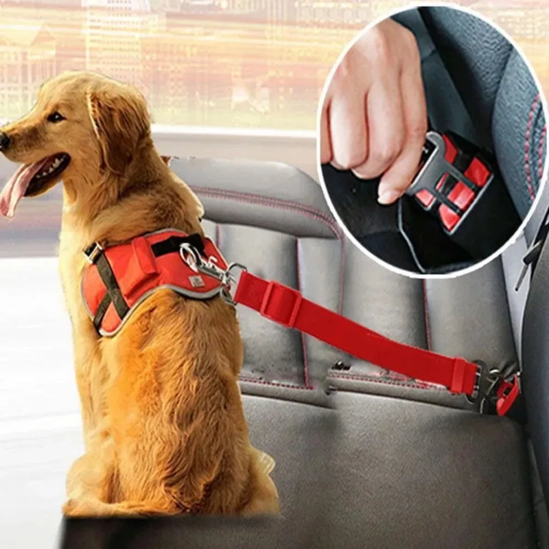 Cinto de segurança ajustável para cães e gatos